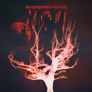 Moonshine II